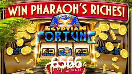 Flash Promotion 6566